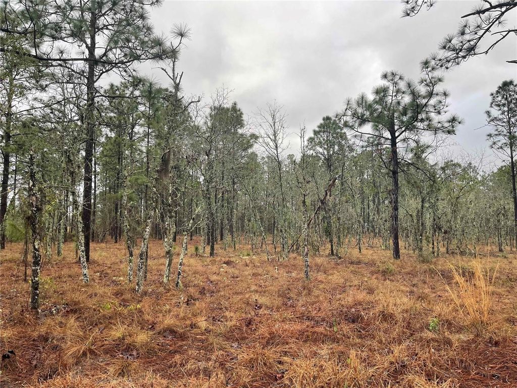 Photo of Tbd SE 71 Street, Morriston, FL 32668 (MLS # OM719993)