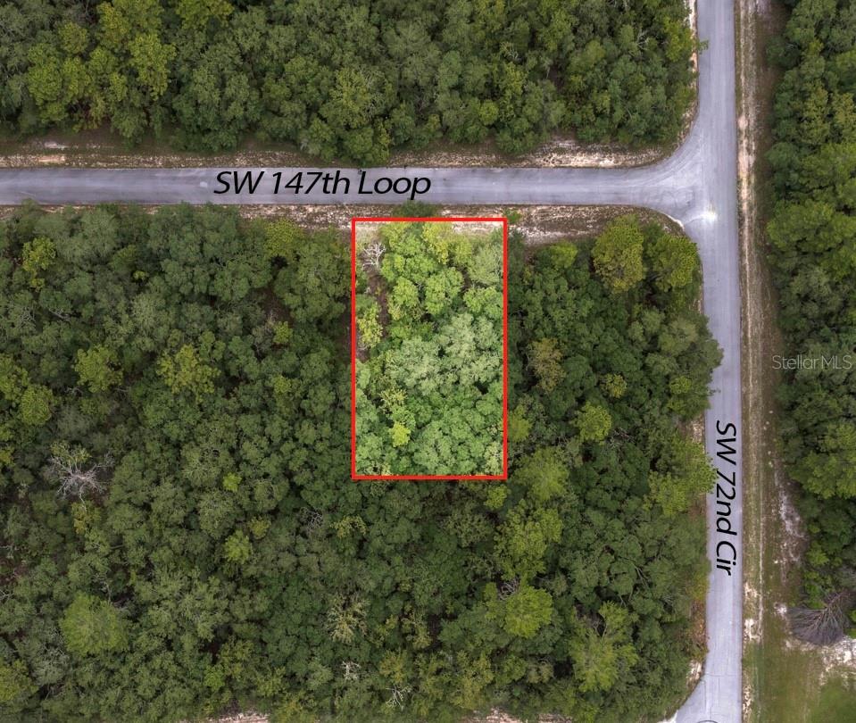 Build your dream home on this high and dry 0.23-acre lot located in a growing area with numerous new homes being built nearby. This property offers a great opportunity to bring your builder and design a home that fits your lifestyle. It is ideally situated close to schools, shopping, restaurants and offers convenient access to I-75 for an easy commute. Whether you’re looking to build now or invest for the future, this lot is full of potential with No HOA. Site-built homes only. Don’t miss out on this opportunity, call me today!