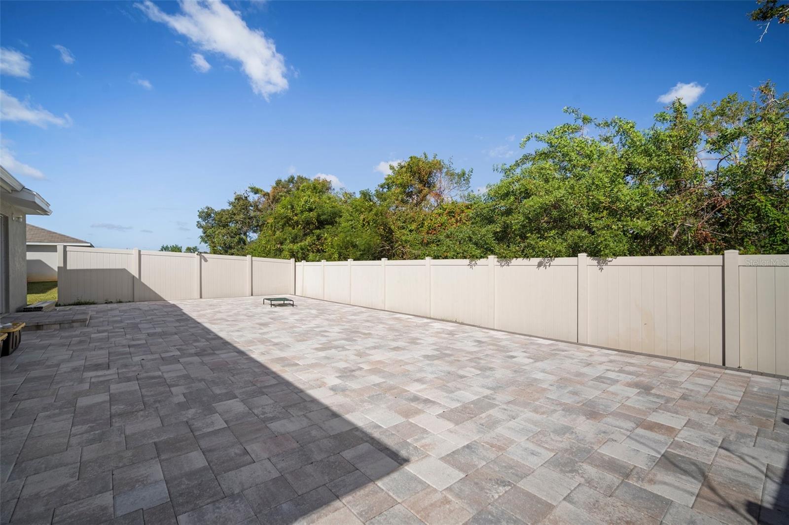 10026 CRESTED FRINGE DRIVE