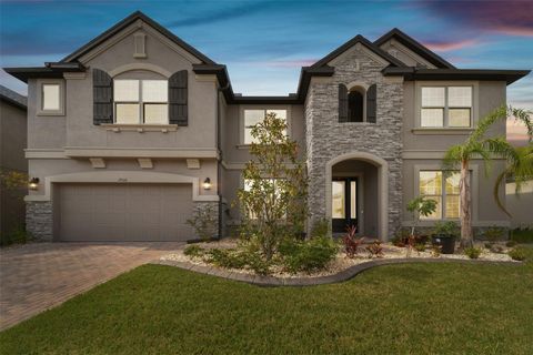 19316 EAGLE CREEK LANE TAMPA FL 33647