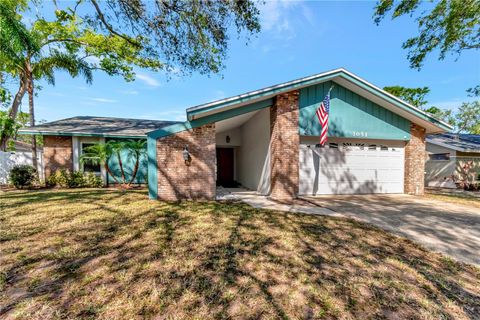 3051 EGRET TERRACE SAFETY HARBOR FL 34695