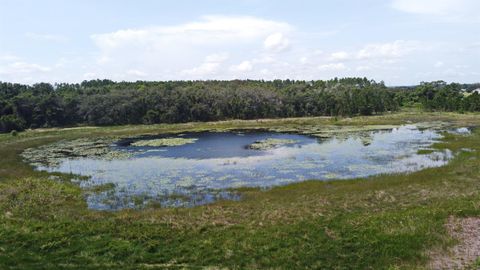 Tiny photo for 23637 State Road 19, Howey In The Hills, FL 34737 (MLS # O6330518)