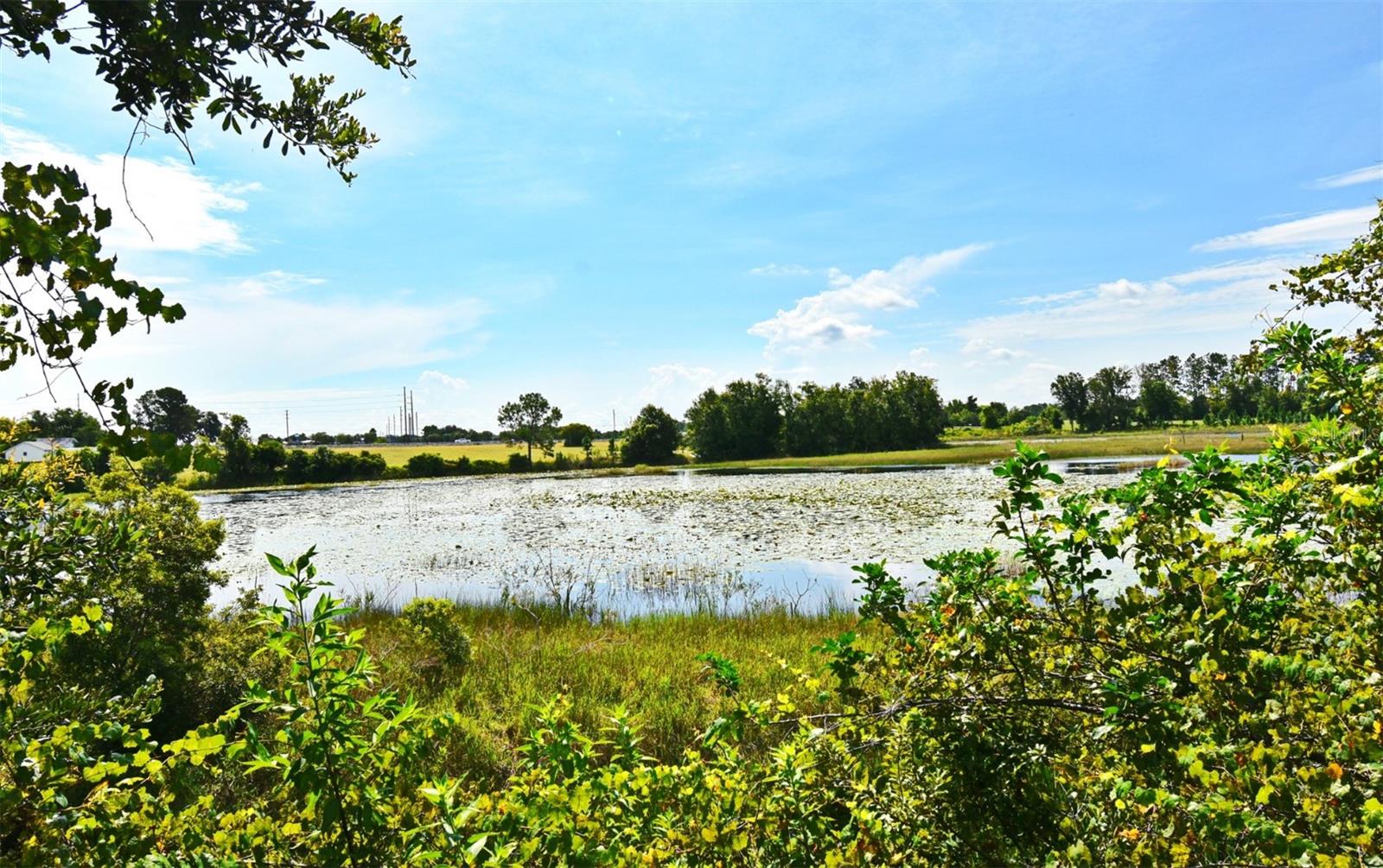 ACREAGE & UNREC - Residential