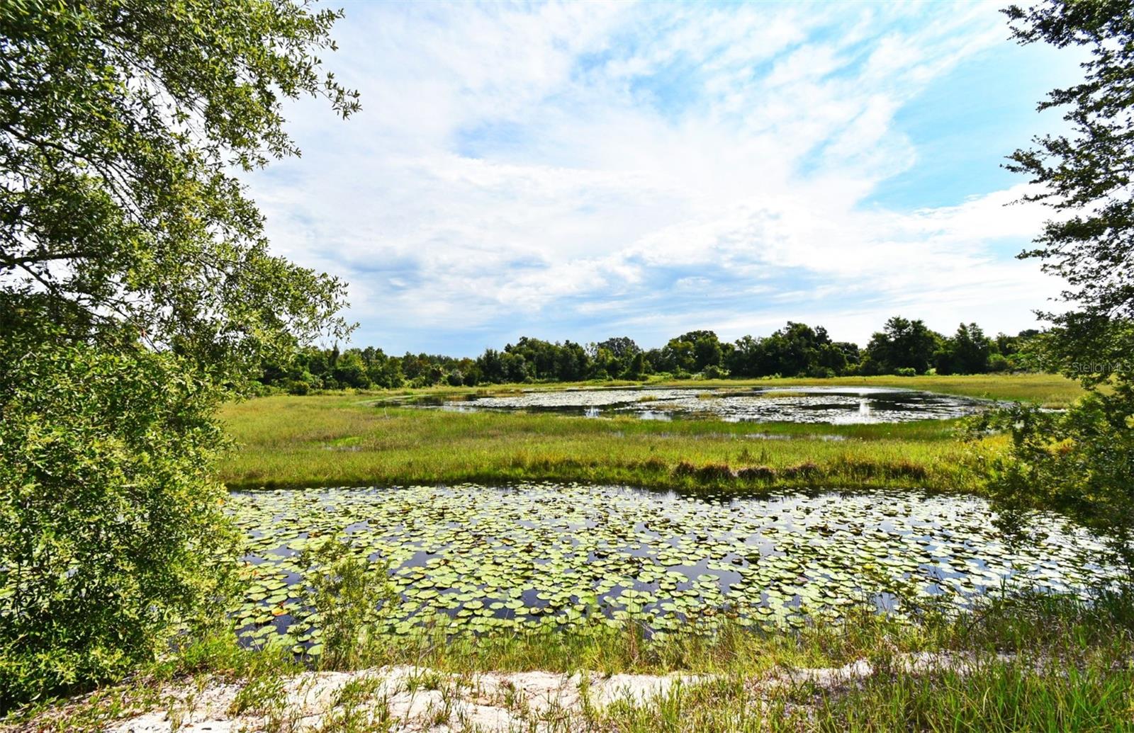 ACREAGE & UNREC - Residential
