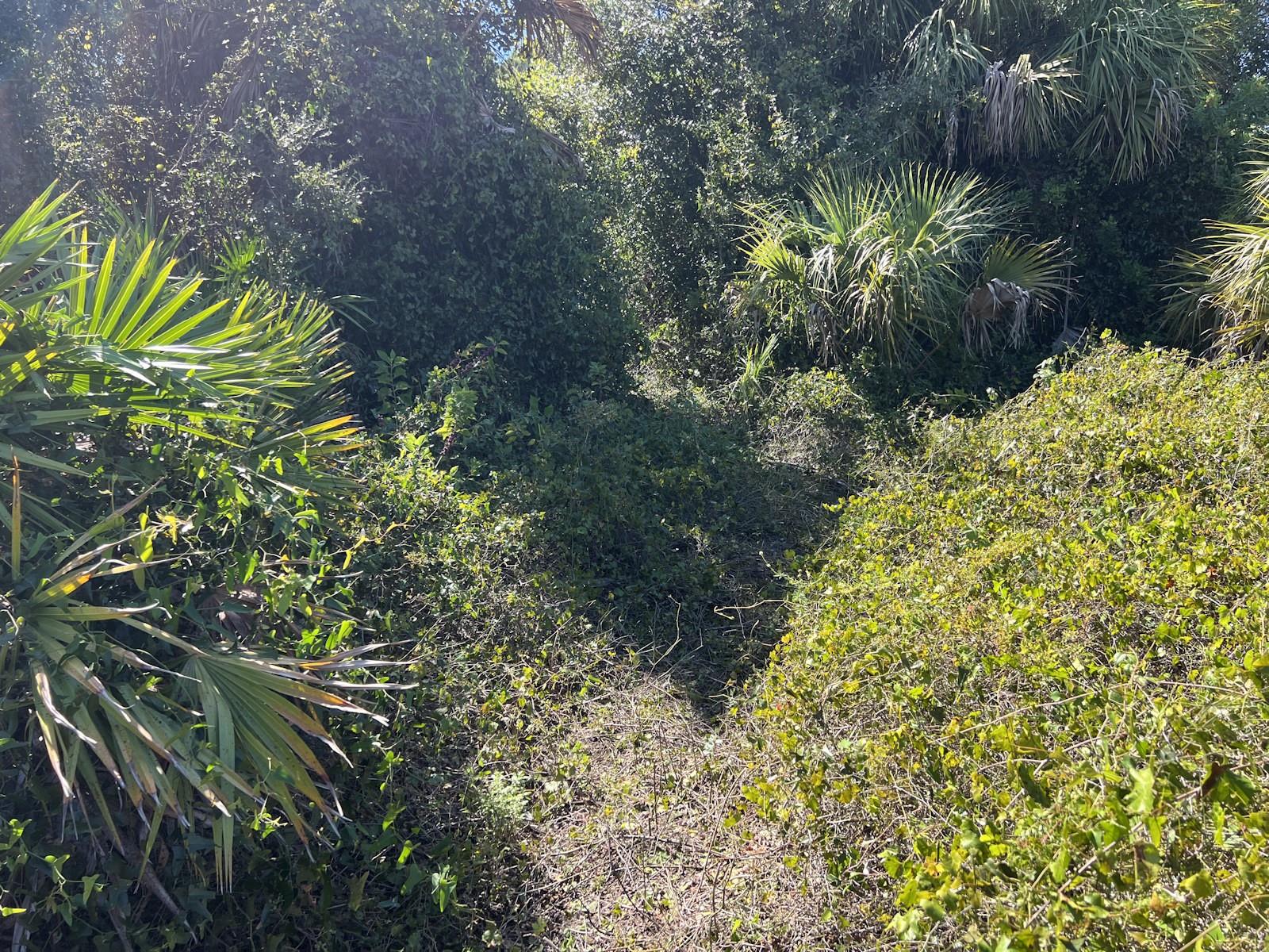 PORT CHARLOTTE SUB 45 - Land