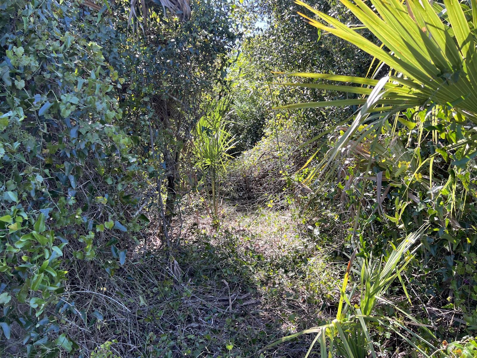 PORT CHARLOTTE SUB 45 - Land