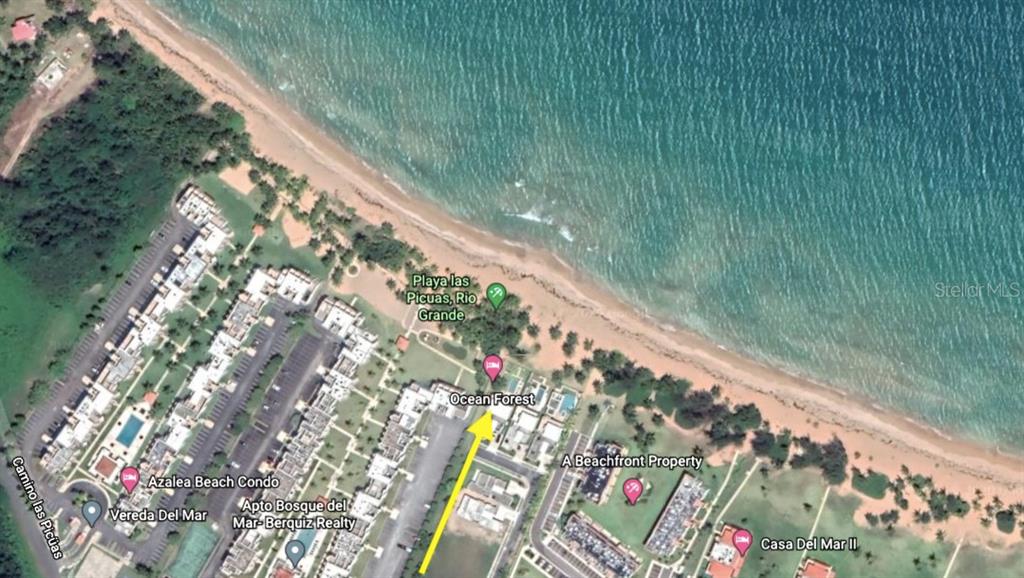 OCEAN FOREST - Residential