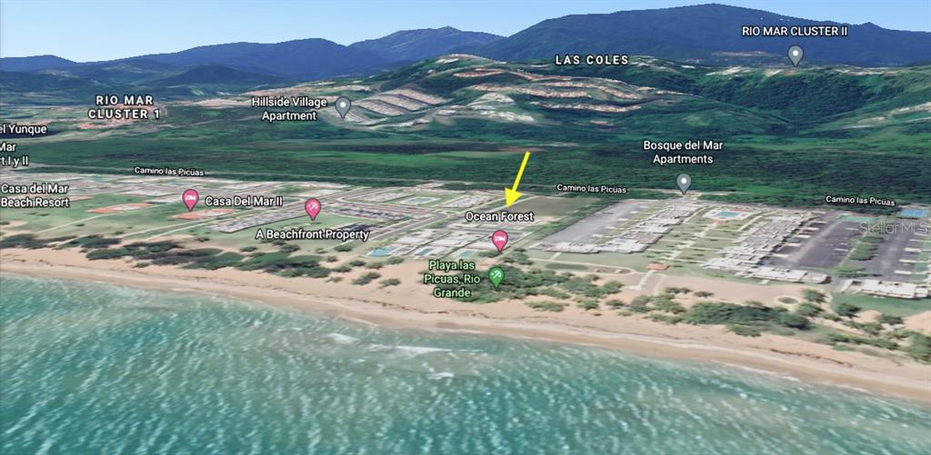 OCEAN FOREST - Residential