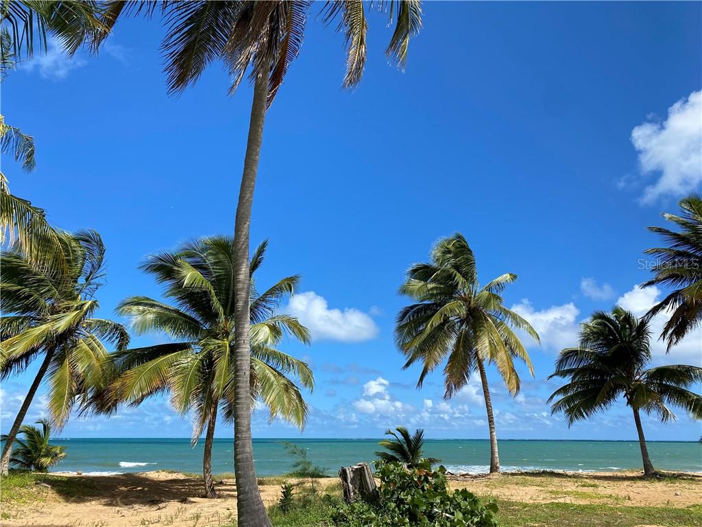 OCEAN FOREST - Residential