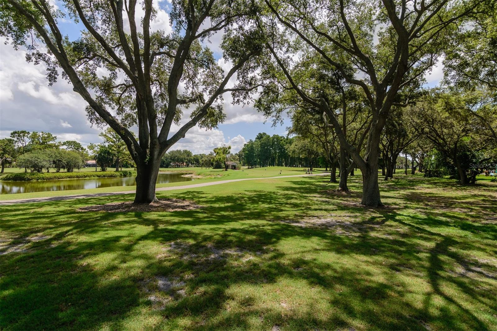 Start every morning with sunrays filtering through majestic oak trees – image 68