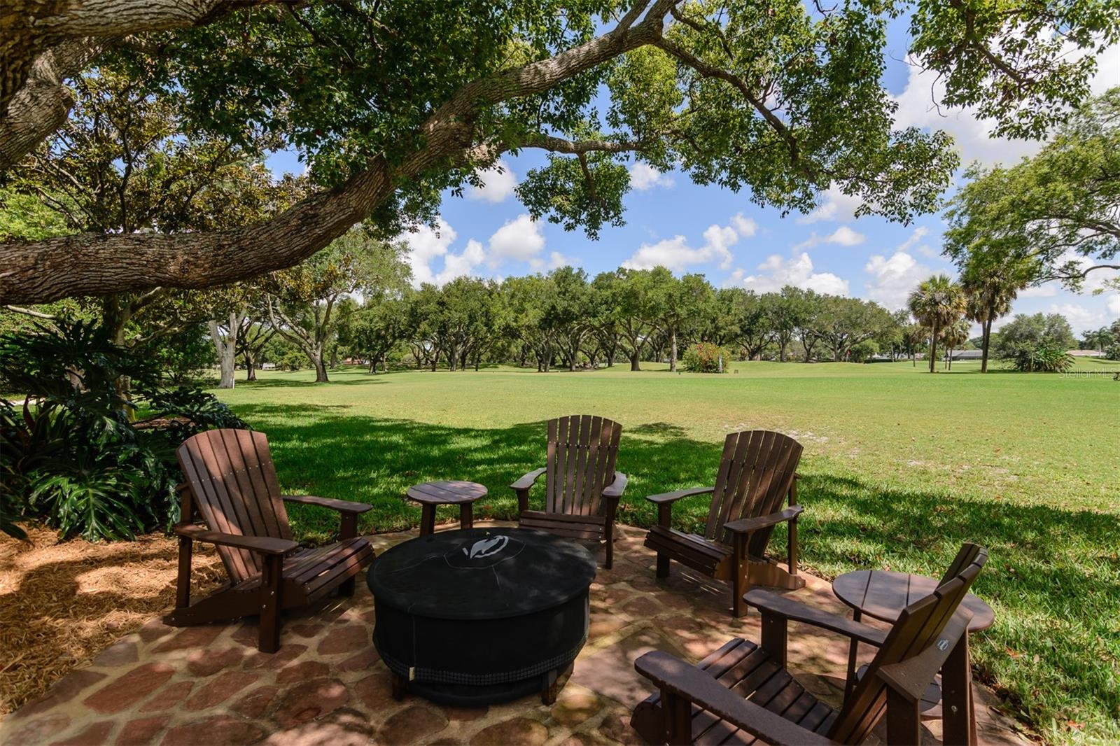 Start every morning with sunrays filtering through majestic oak trees – image 61