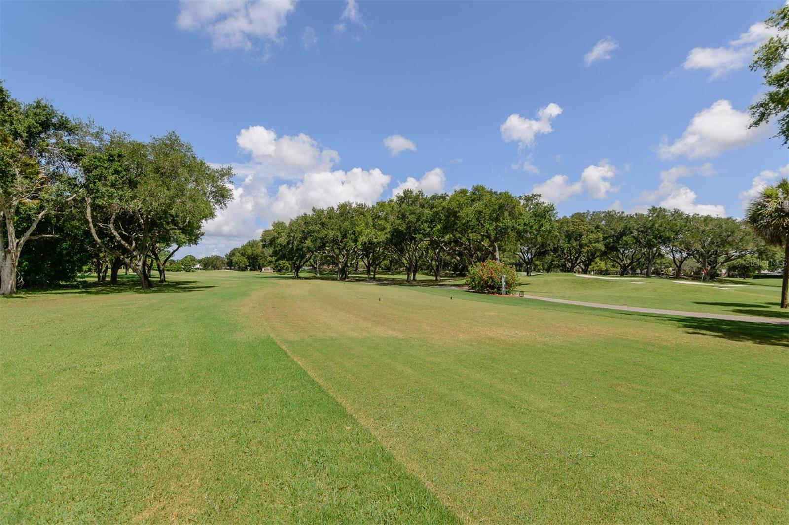 Start every morning with sunrays filtering through majestic oak trees – image 67