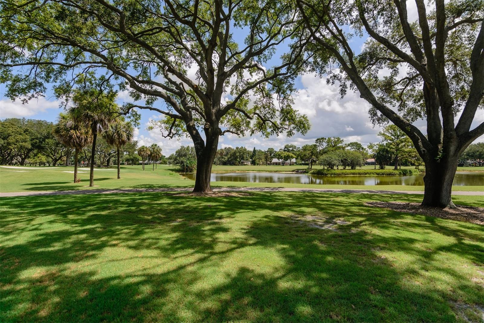 Start every morning with sunrays filtering through majestic oak trees – image 69