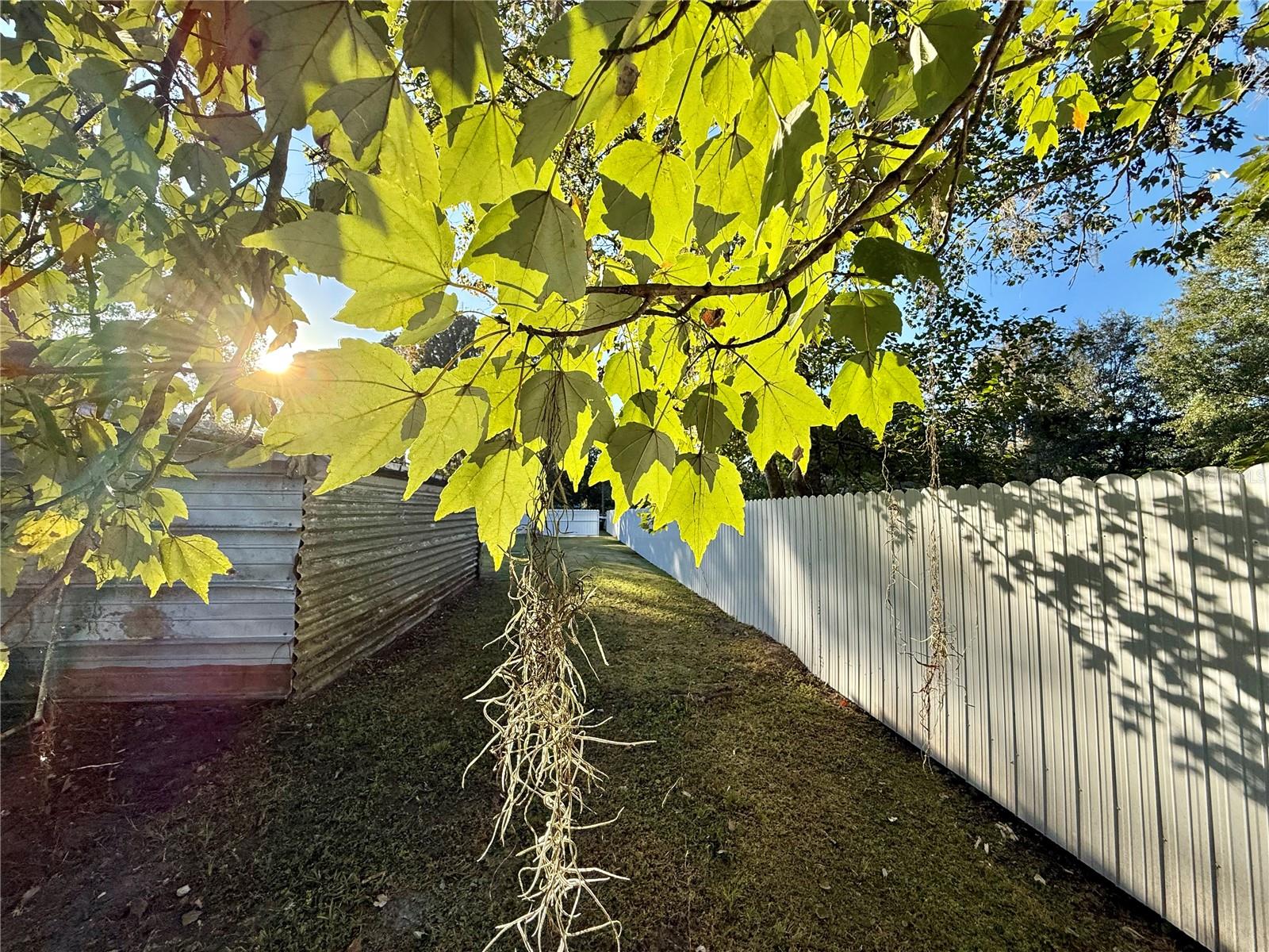 EAST ORLANDO UNREC - Residential