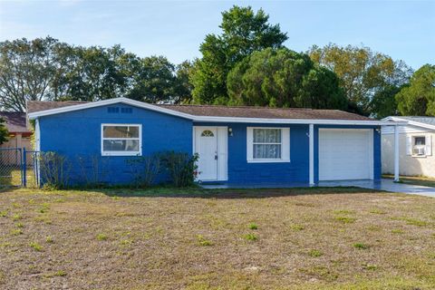 7404 PRINCETON DRIVE HUDSON FL 34667