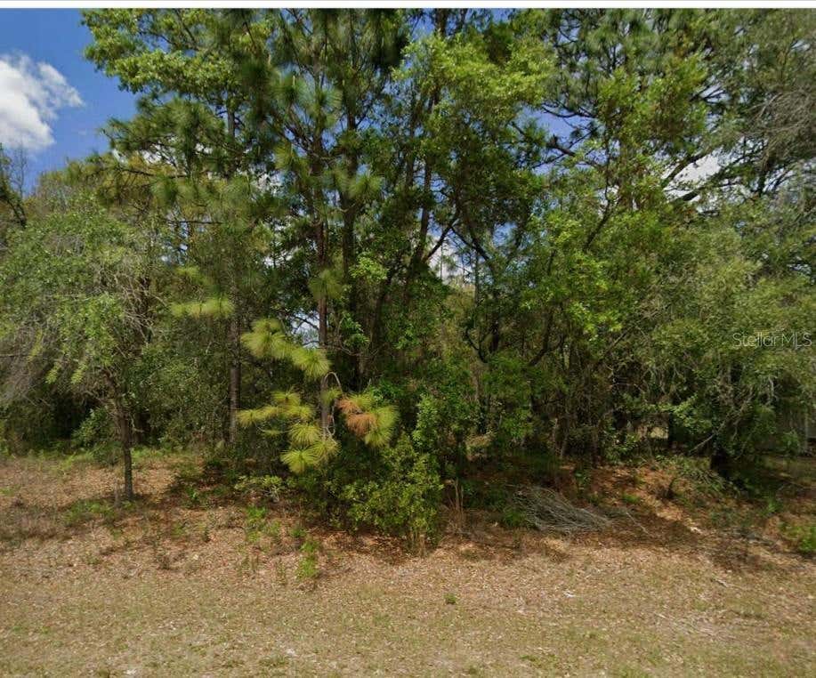 Photo of 1895 W Hampshire Boulevard, Citrus Springs, FL 34434 (MLS # OM730122)