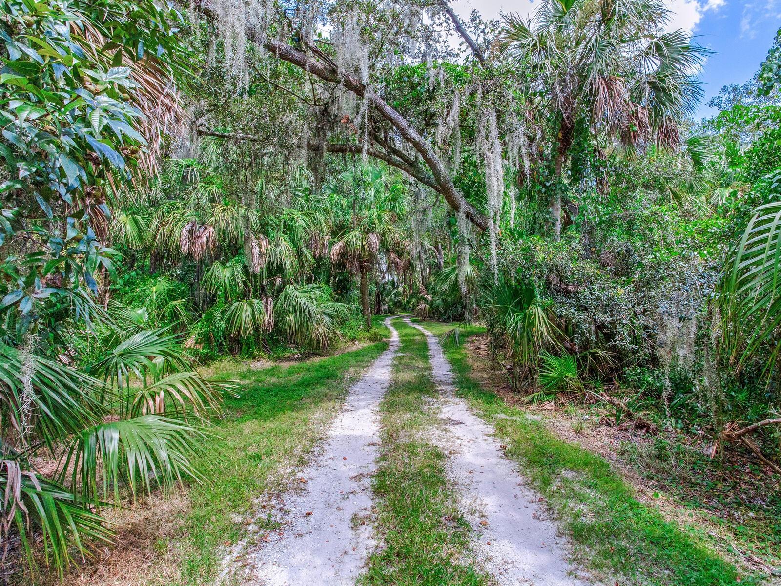 CREIGHTONS MIZELLE CREEK GARD - Residential