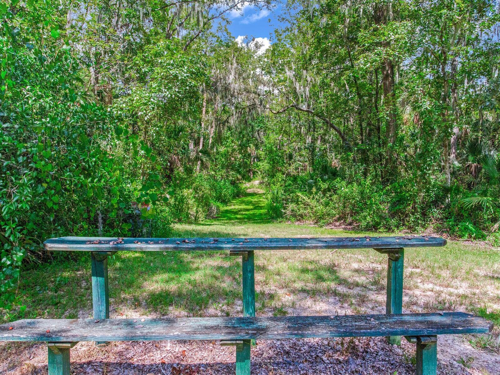 CREIGHTONS MIZELLE CREEK GARD - Residential