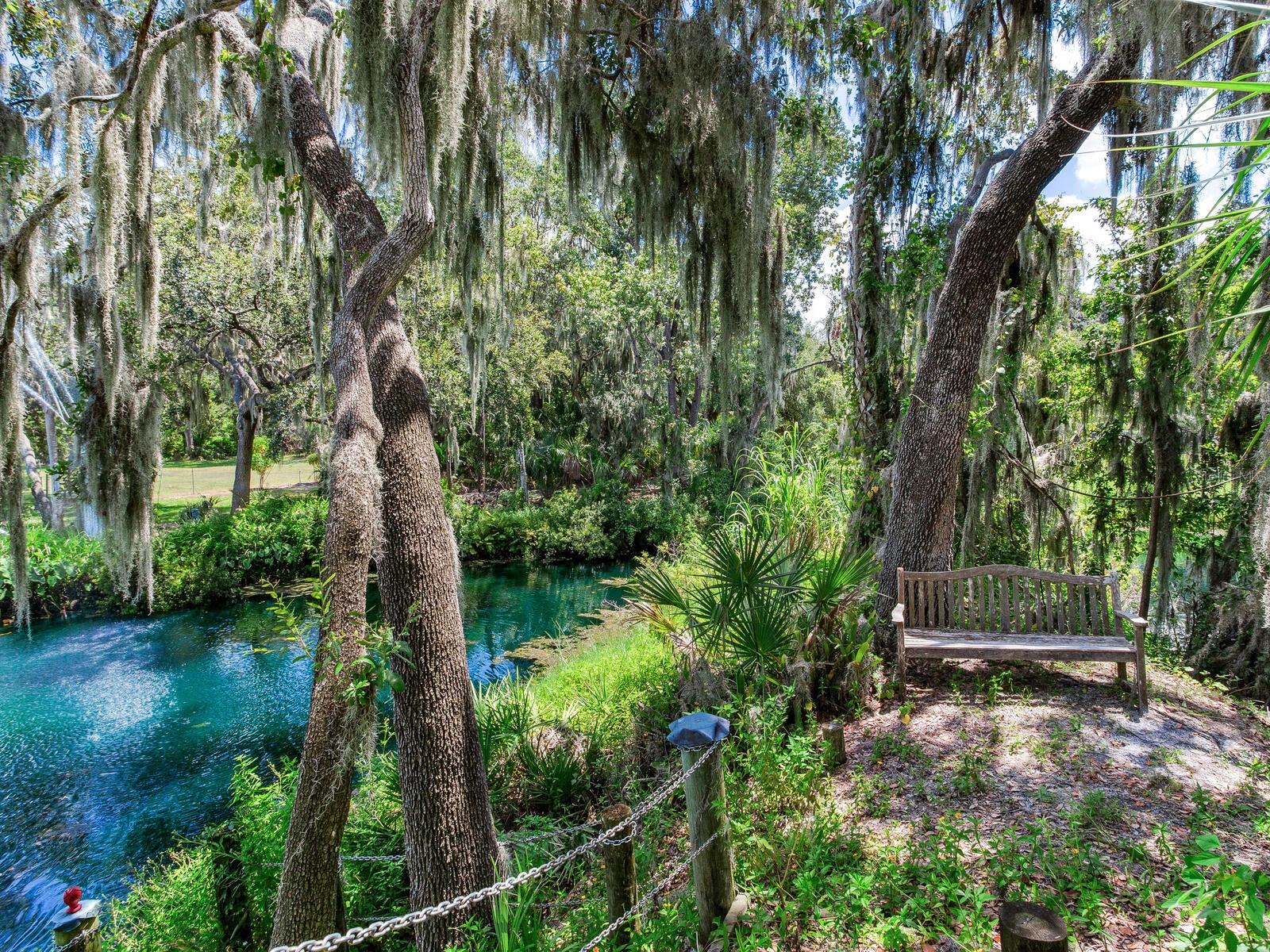 CREIGHTONS MIZELLE CREEK GARD - Residential