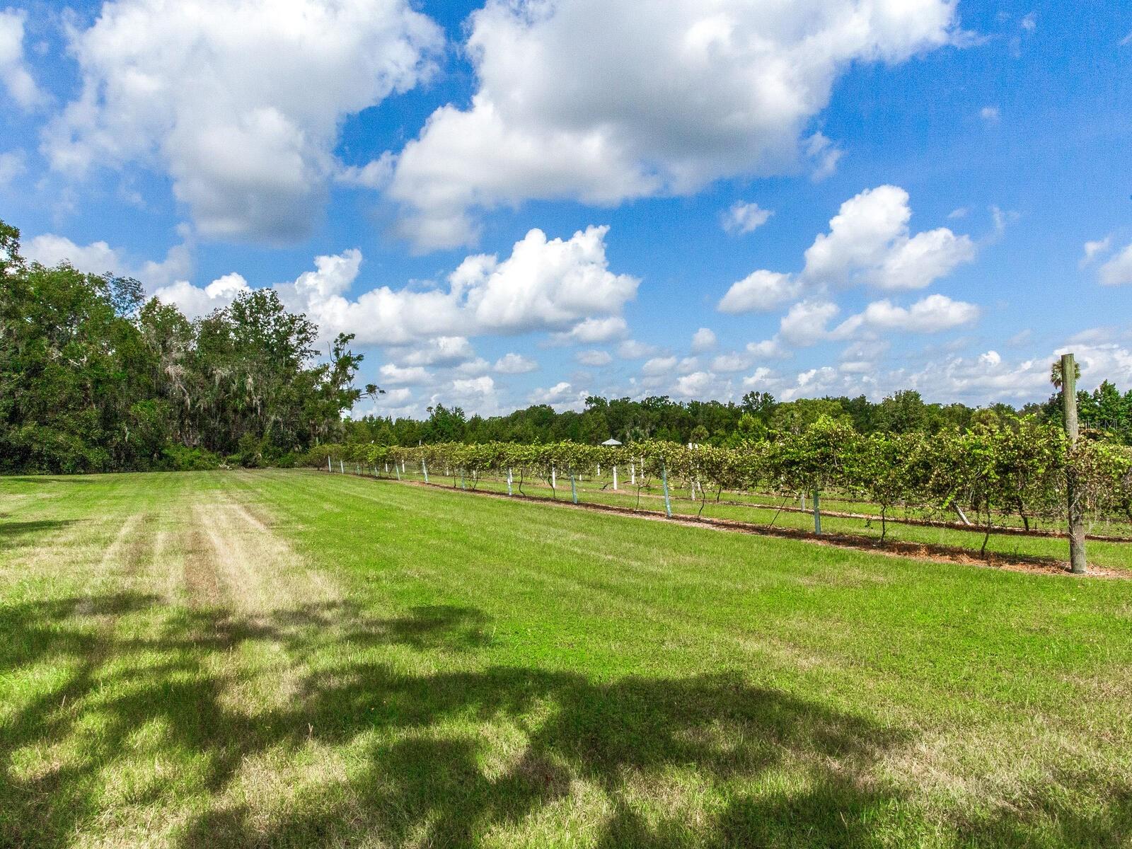 CREIGHTONS MIZELLE CREEK GARD - Residential