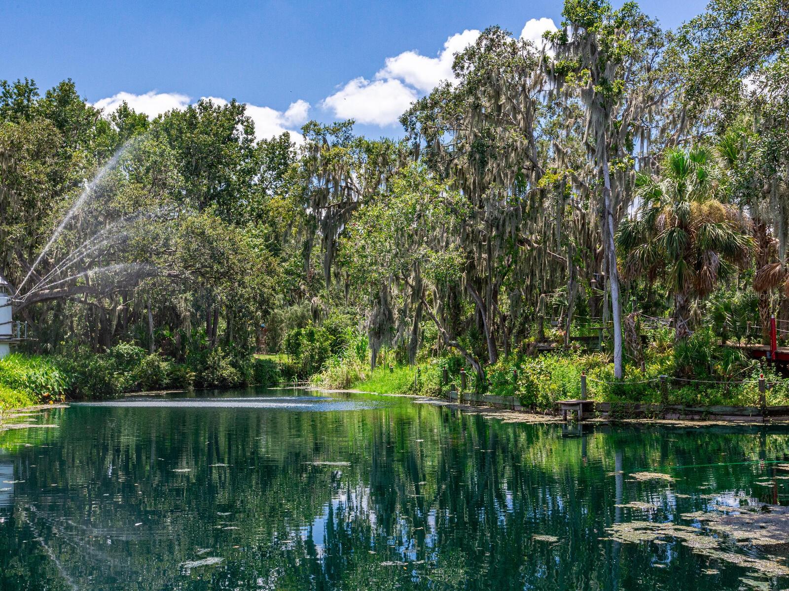 CREIGHTONS MIZELLE CREEK GARD - Residential