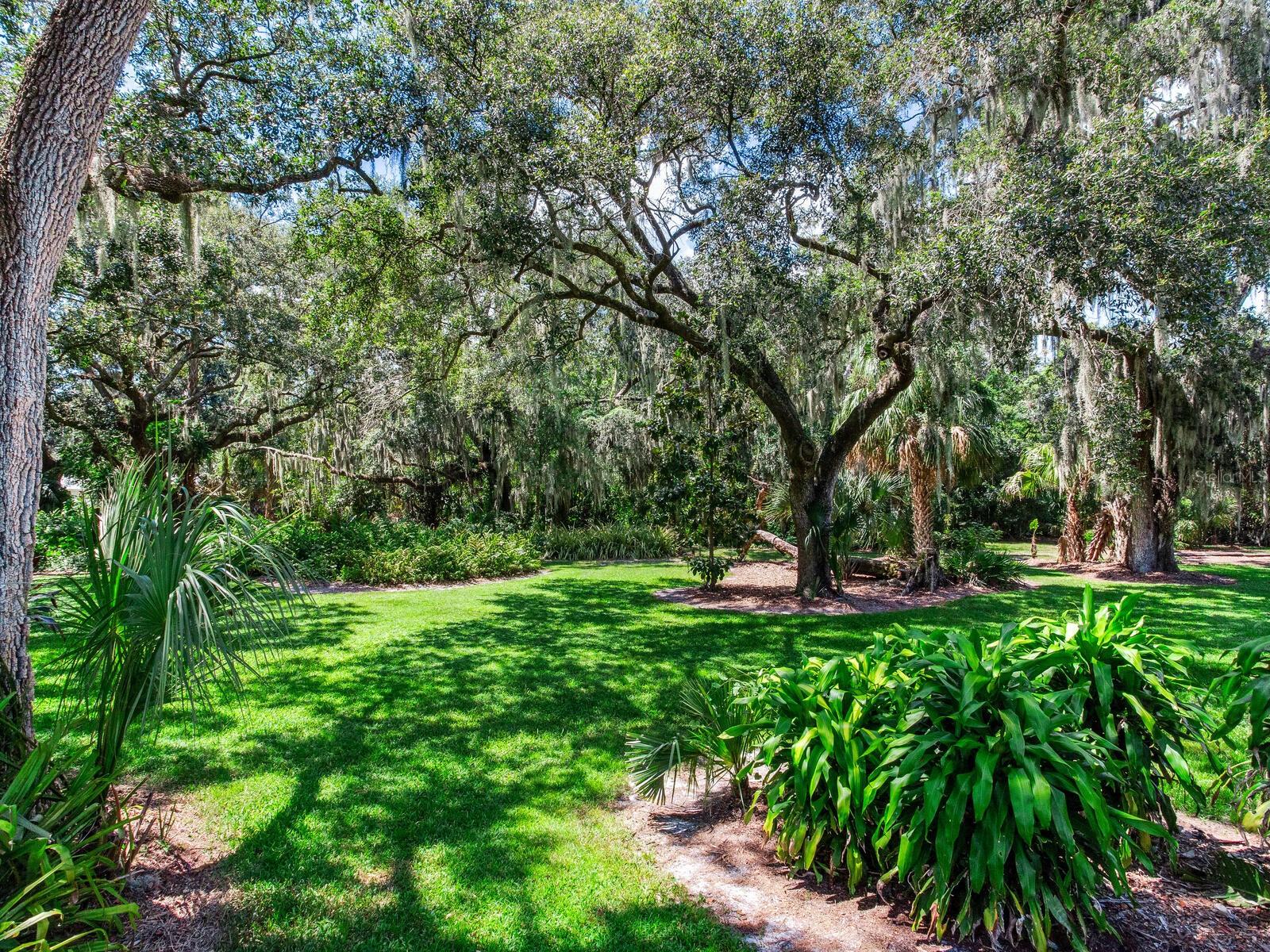 CREIGHTONS MIZELLE CREEK GARD - Residential