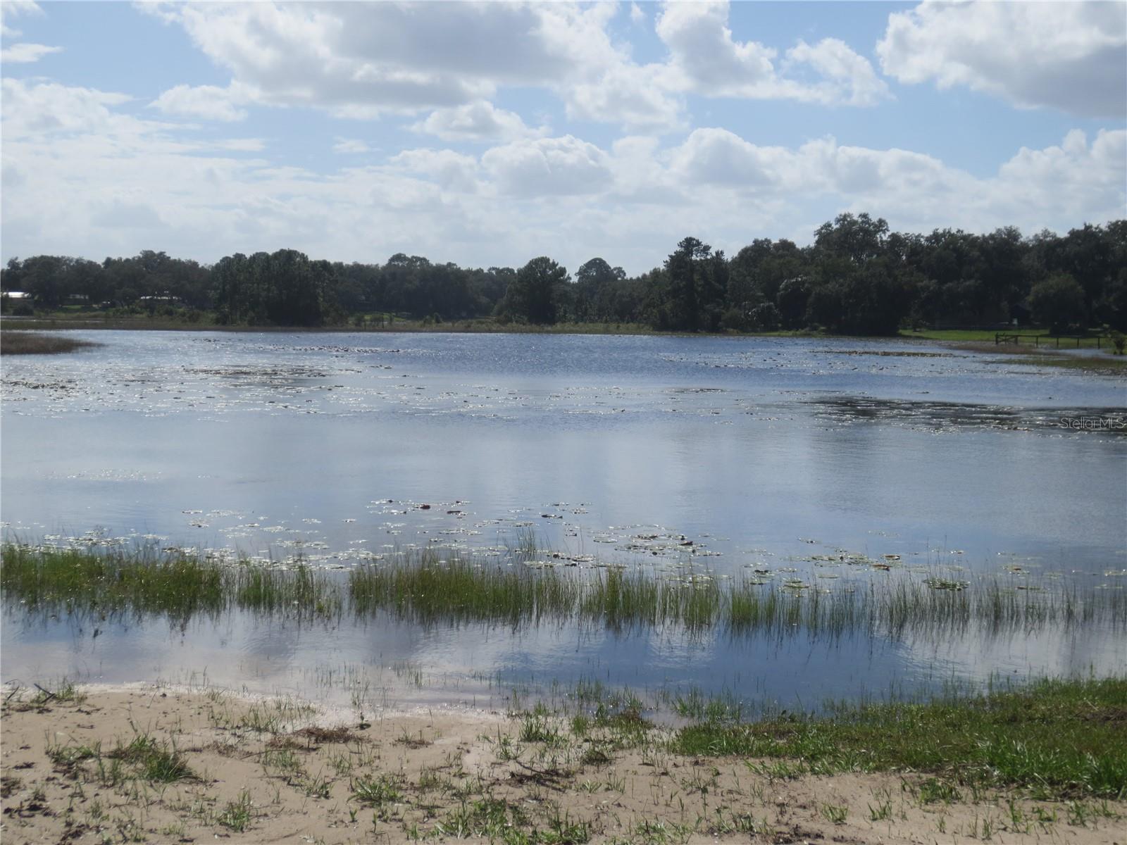 WOODS & LAKES - Residential