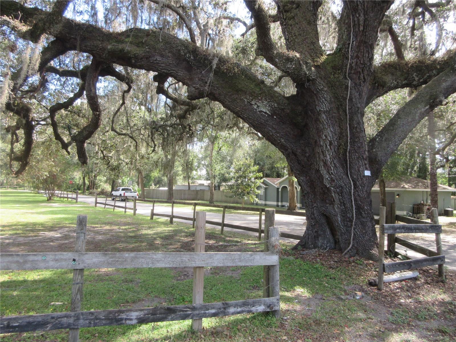 WOODS & LAKES - Residential