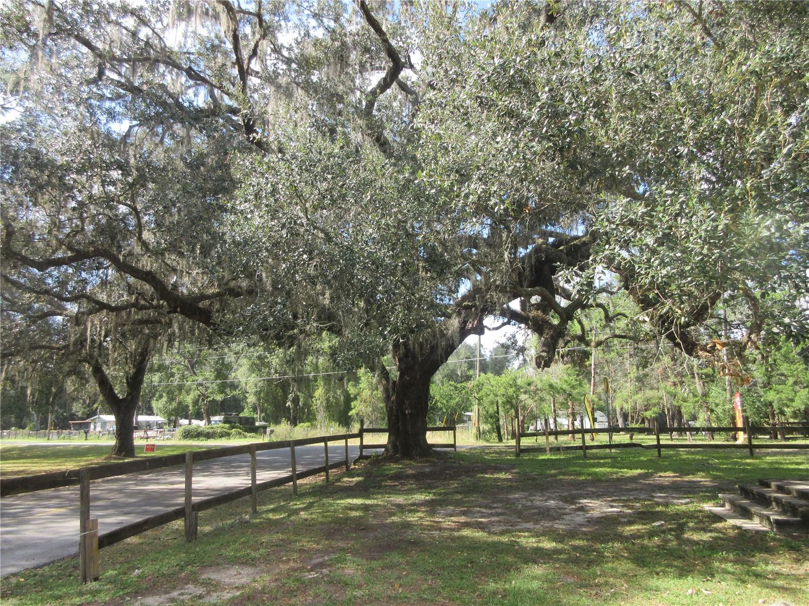 WOODS & LAKES - Residential