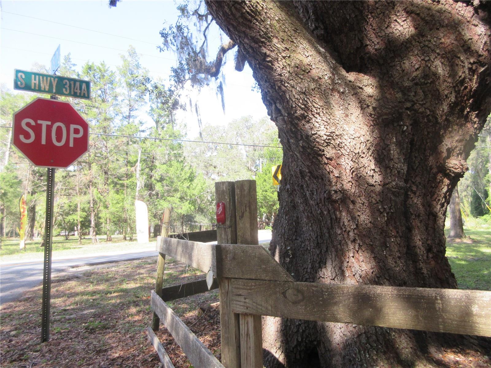 WOODS & LAKES - Residential