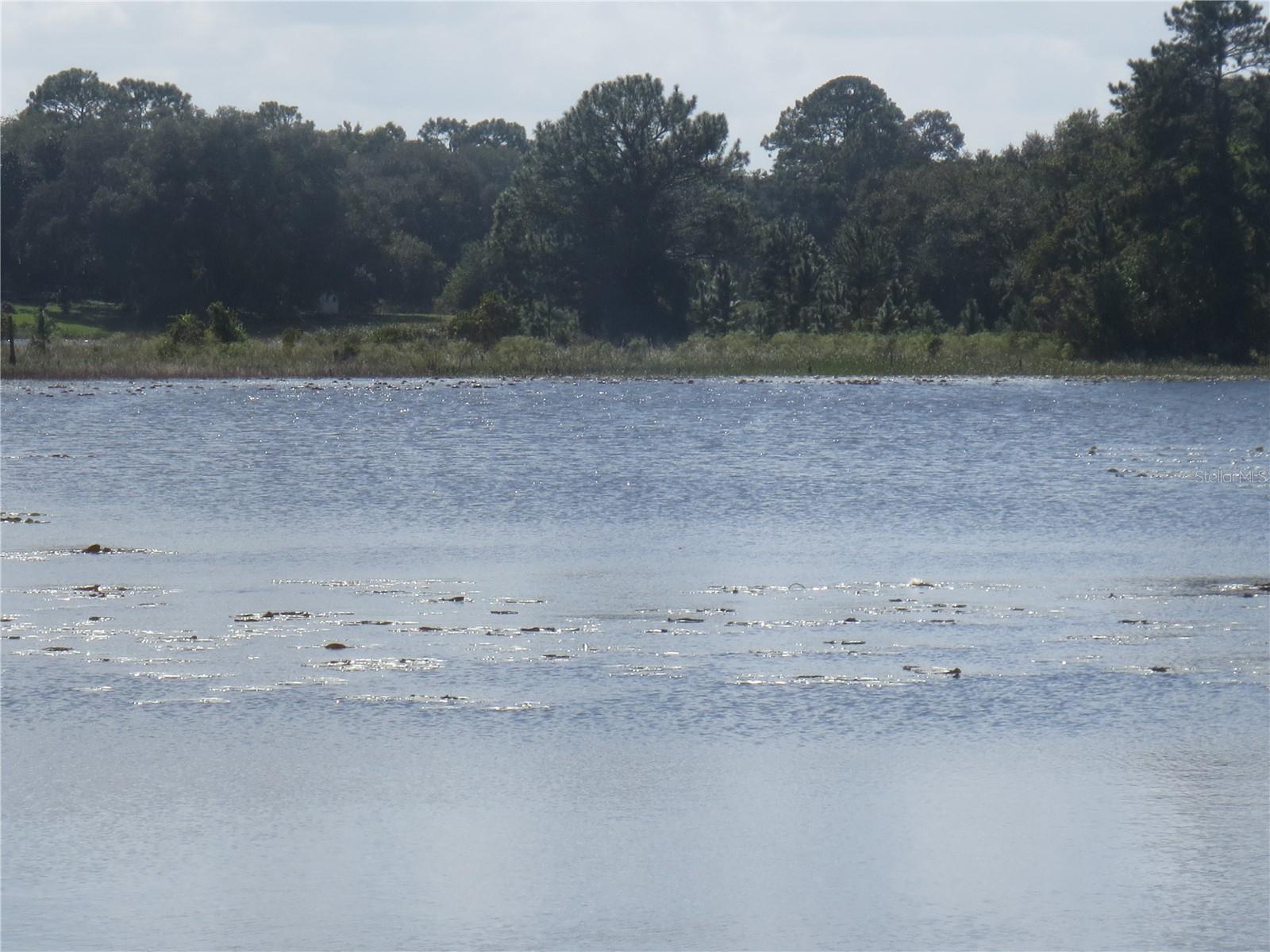 WOODS & LAKES - Residential