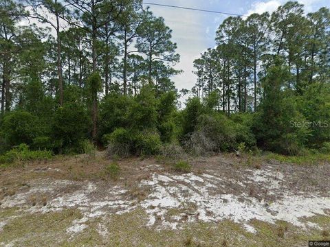 479 JOHNSON AVENUE NE LAKE PLACID FL 33852