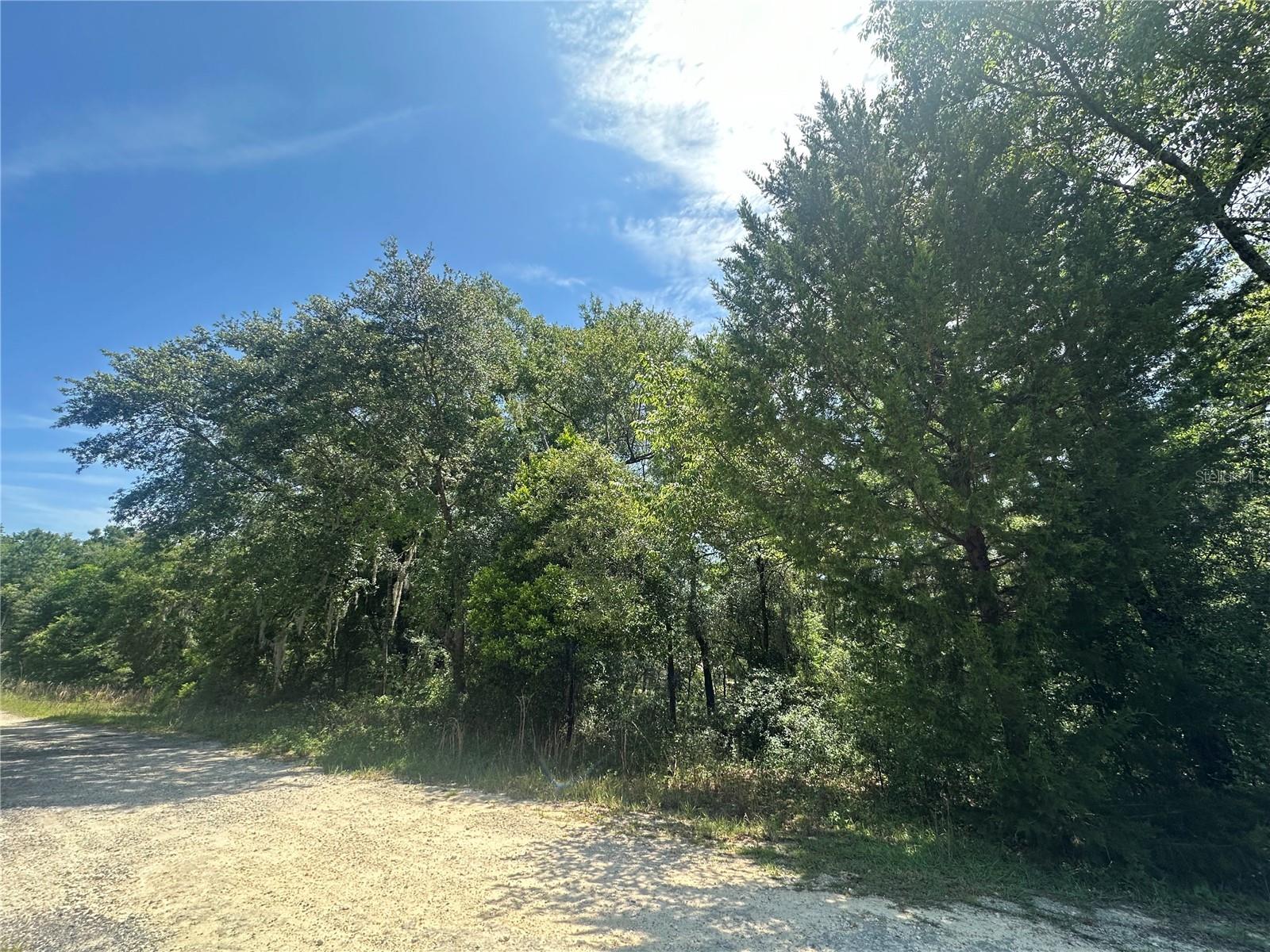 WILLISTON HYLNDS GOLF & C CLUB ESTATE - Land