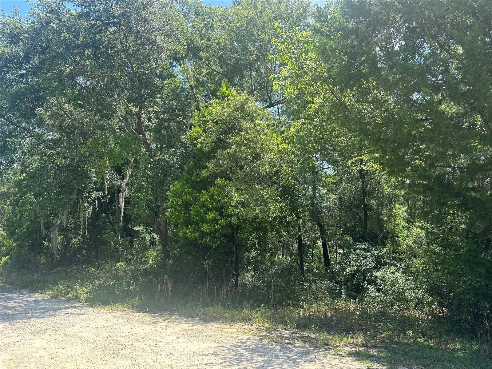 WILLISTON HYLNDS GOLF & C CLUB ESTATE - Land