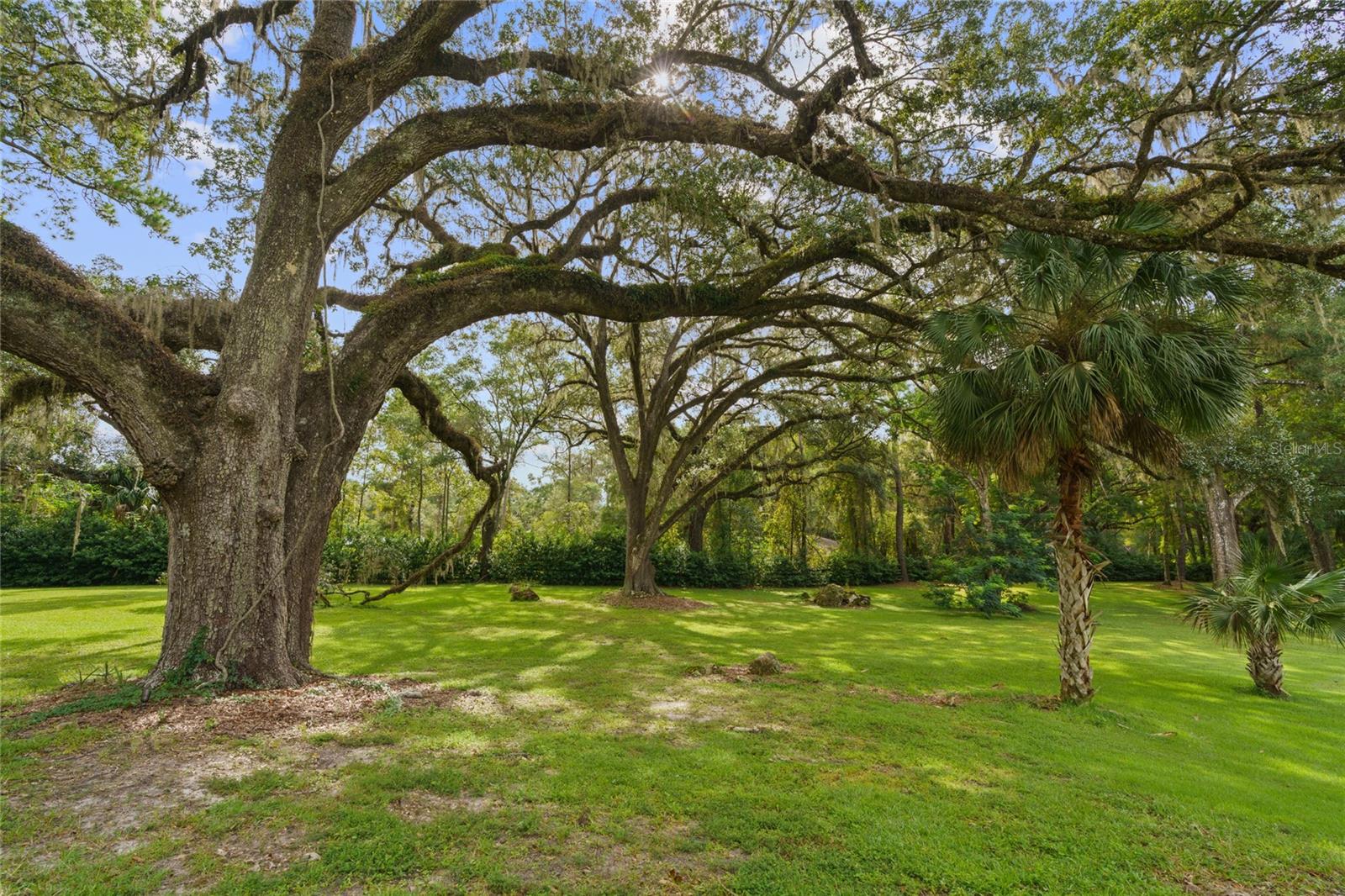COUNTRY CLUB FARMS A HAMLET - Residential