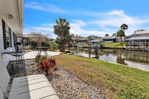 A home in PALM COAST