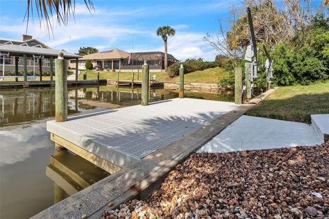 A home in PALM COAST