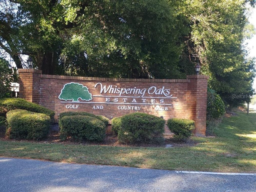 Photo of 34386 Whispering Oaks Boulevard, Dade City, FL 33523 (MLS # TB8444253)