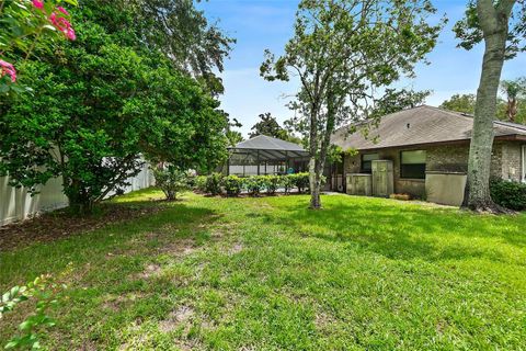 A home in PALM COAST