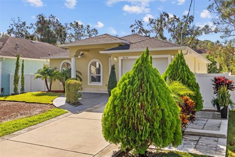 A home in TAMPA