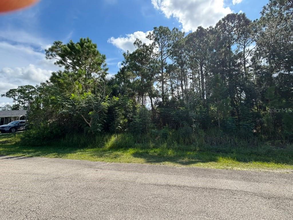 467 WAYLAND ROAD SW