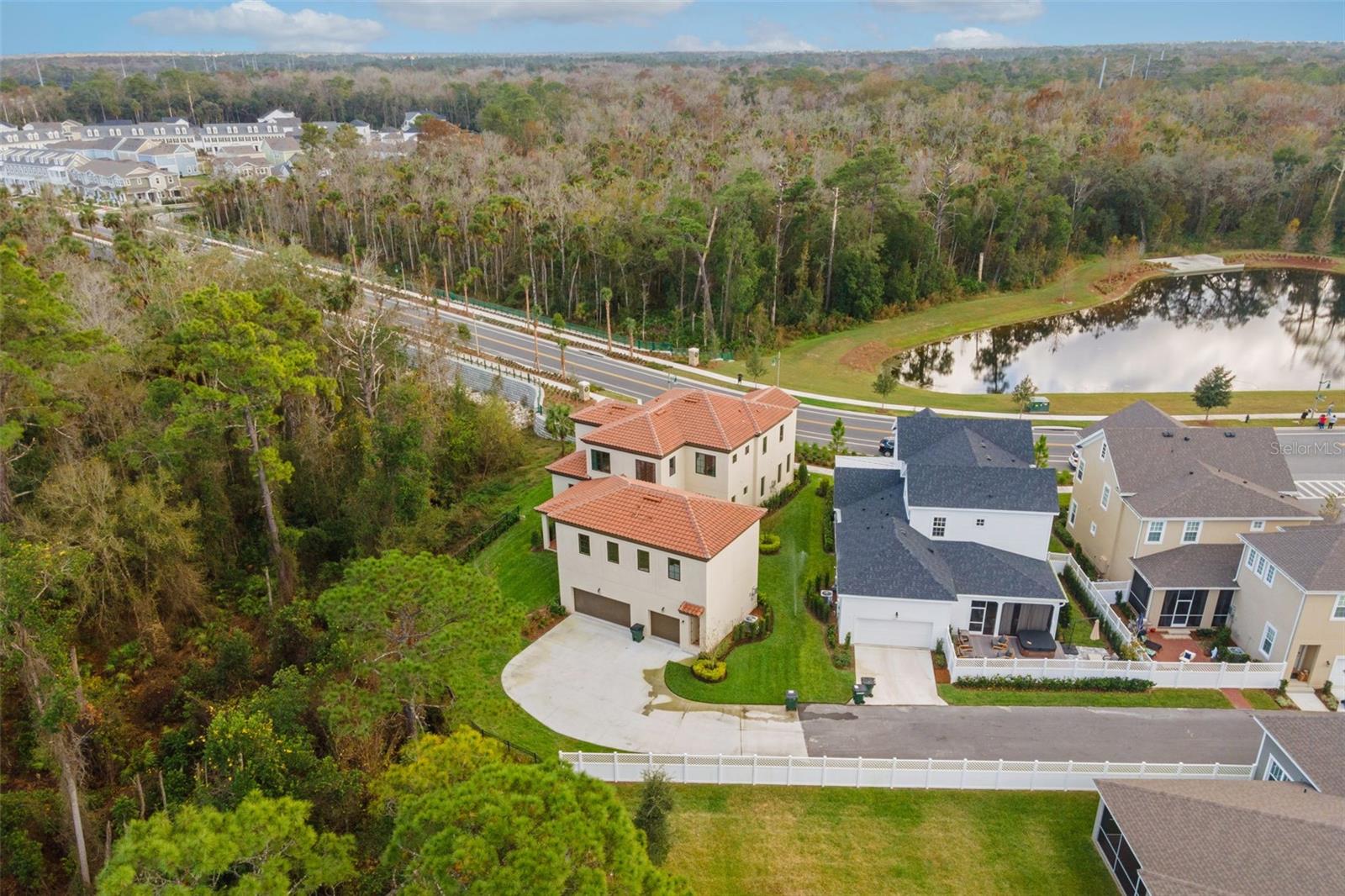 CELEBRATION ISLAND VILLAGE - Residential