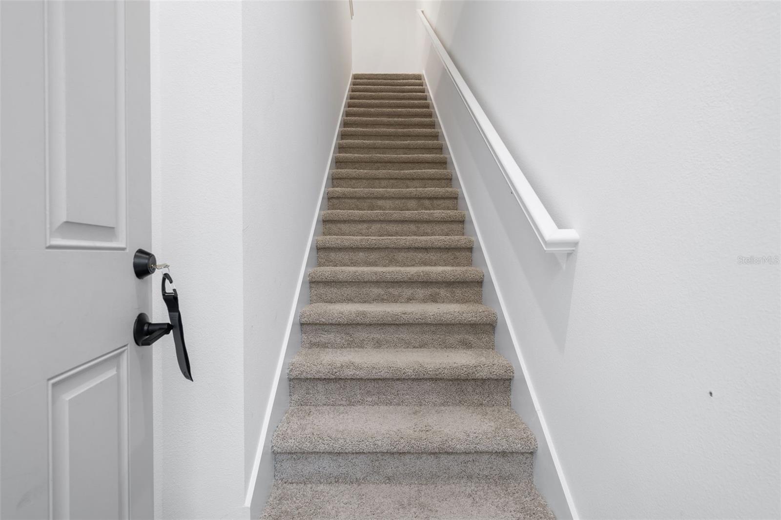 CELEBRATION ISLAND VILLAGE - Residential