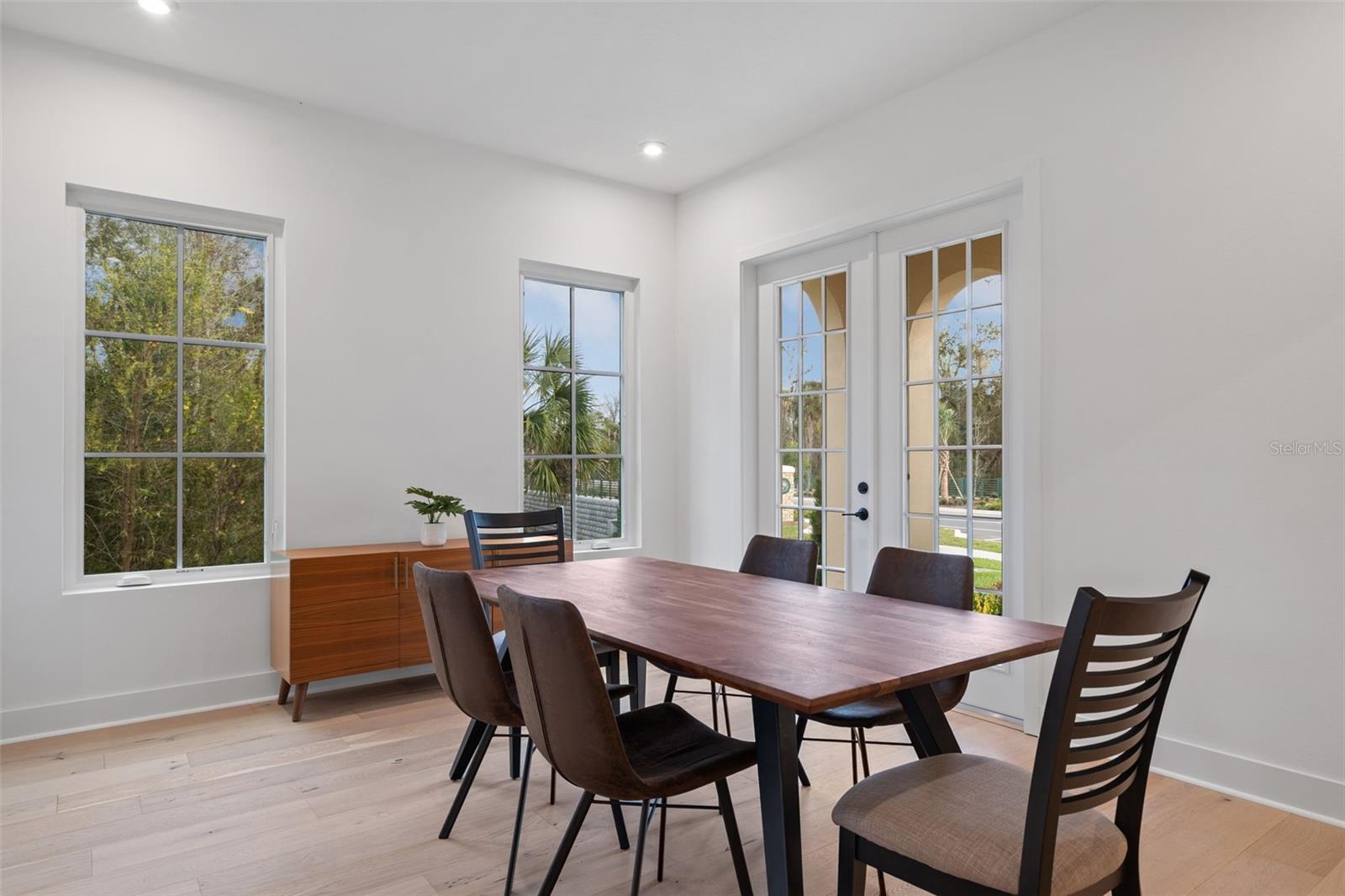 CELEBRATION ISLAND VILLAGE - Residential