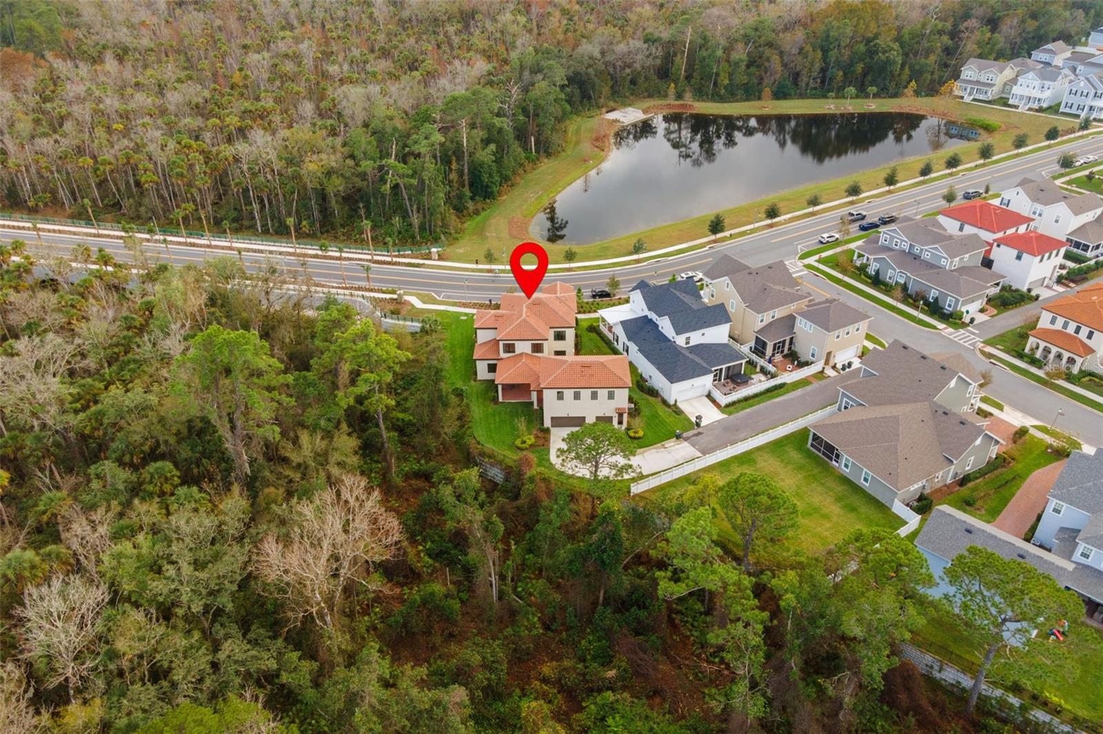 CELEBRATION ISLAND VILLAGE - Residential