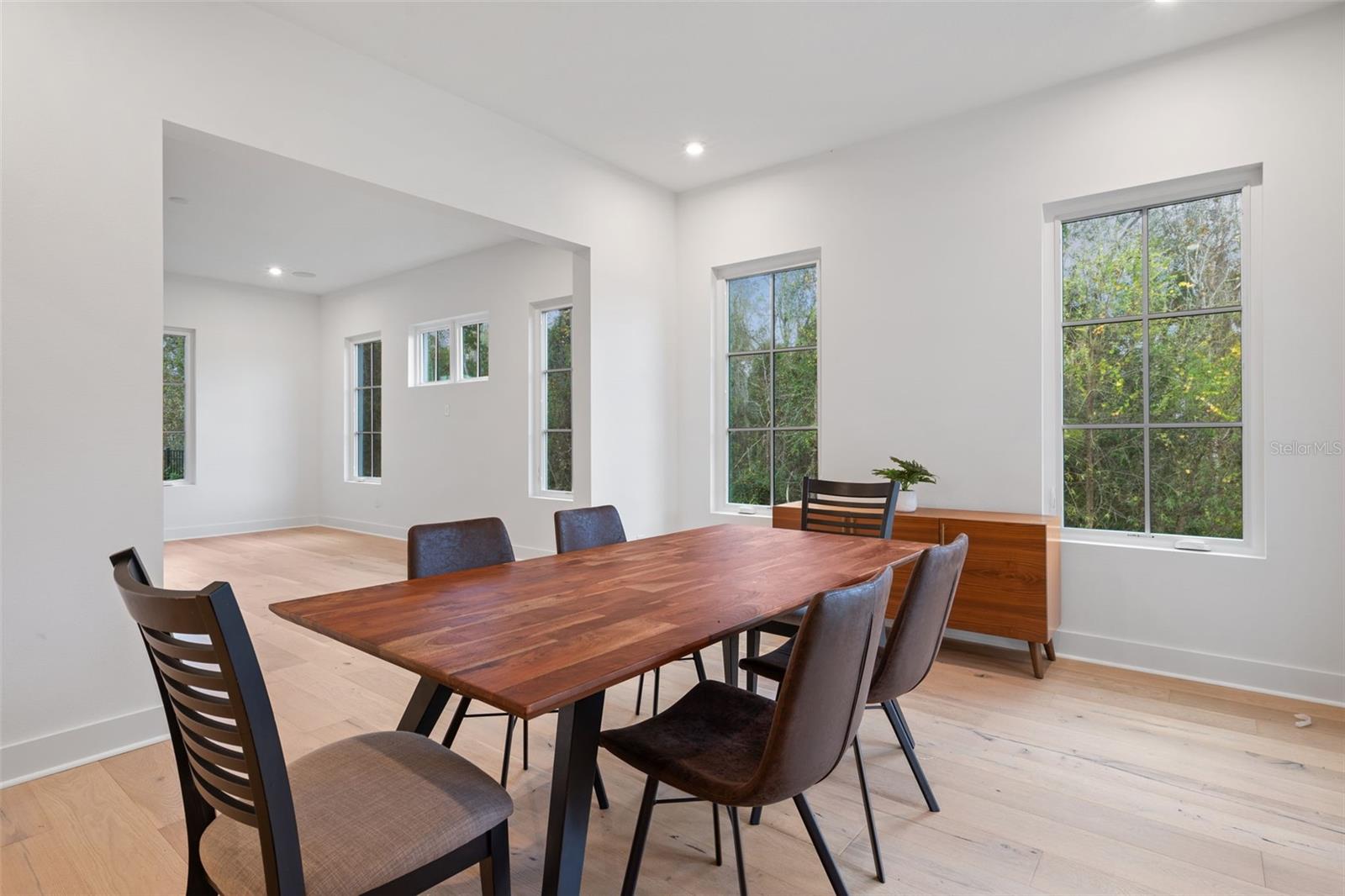 CELEBRATION ISLAND VILLAGE - Residential