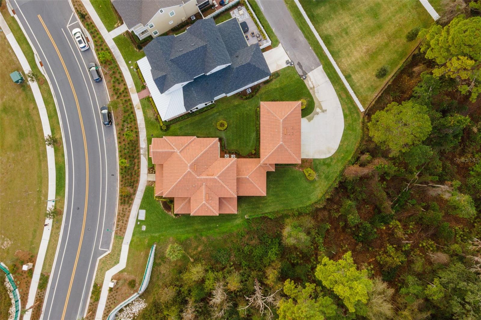 CELEBRATION ISLAND VILLAGE - Residential