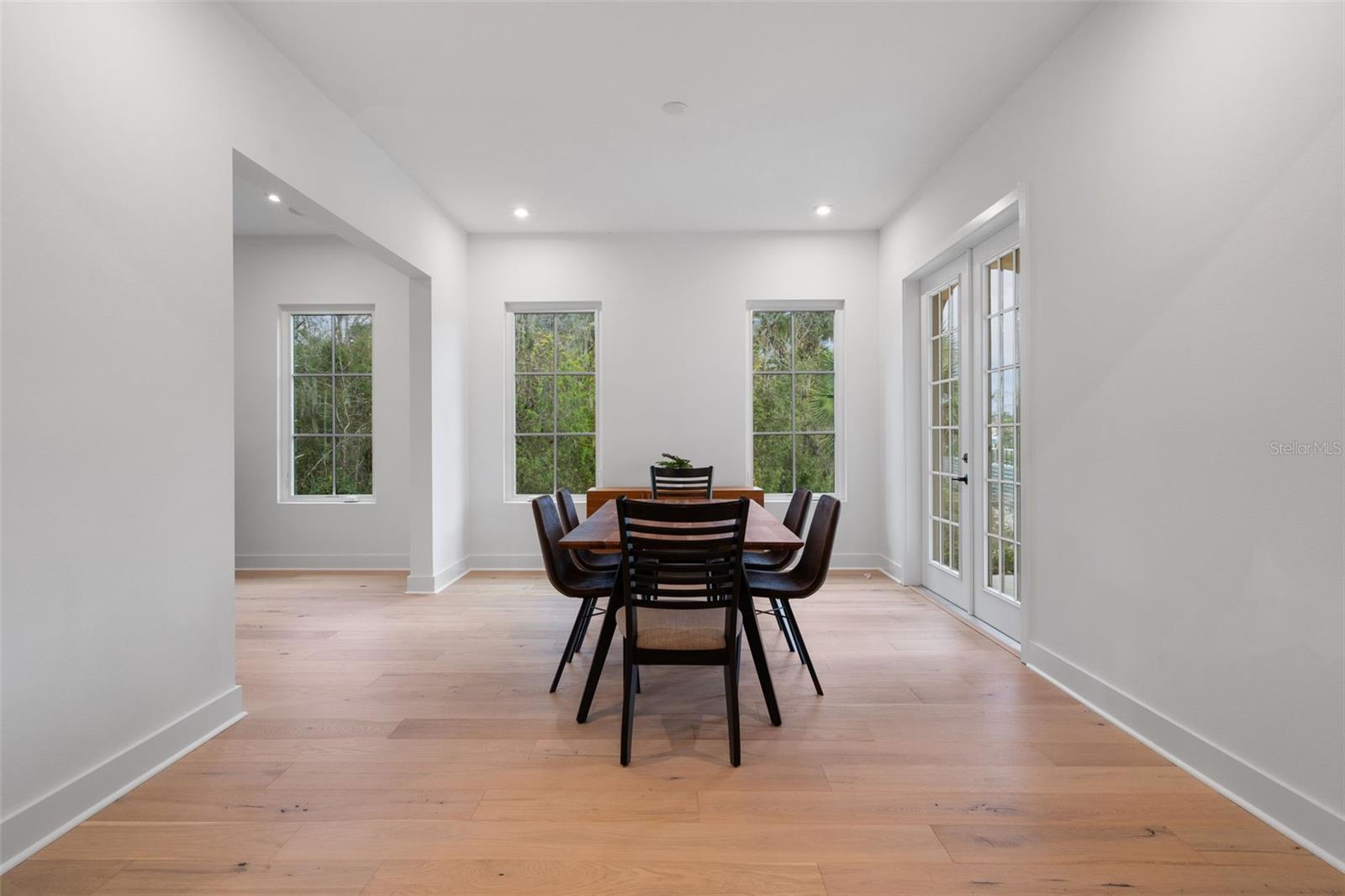 CELEBRATION ISLAND VILLAGE - Residential