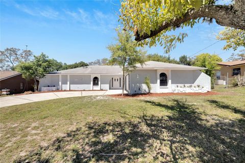 A home in SPRING HILL