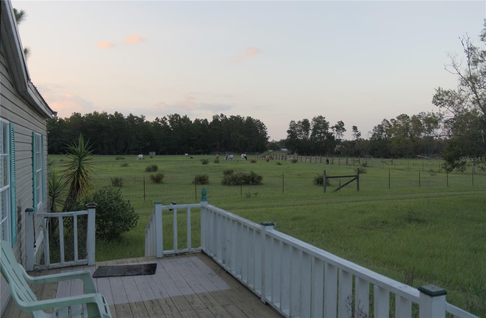 40449 HOLLY BRANCH ROAD
